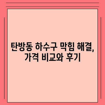 대전시 서구 탄방동 하수구막힘 | 가격 | 비용 | 기름제거 | 싱크대 | 변기 | 세면대 | 역류 | 냄새차단 | 2024 후기