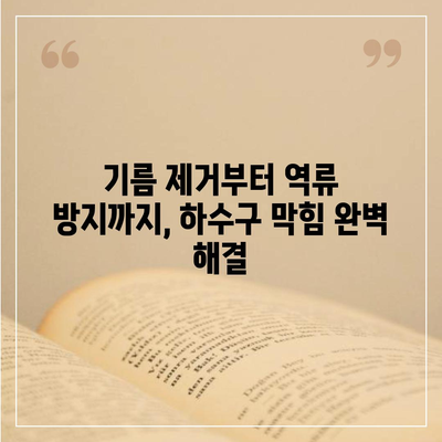 인천시 서구 연희동 하수구막힘 | 가격 | 비용 | 기름제거 | 싱크대 | 변기 | 세면대 | 역류 | 냄새차단 | 2024 후기