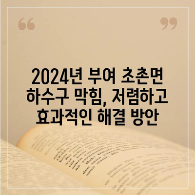 충청남도 부여군 초촌면 하수구막힘 | 가격 | 비용 | 기름제거 | 싱크대 | 변기 | 세면대 | 역류 | 냄새차단 | 2024 후기