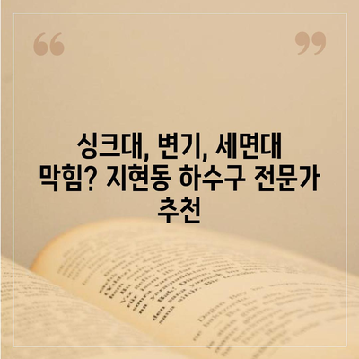 충청북도 충주시 지현동 하수구막힘 | 가격 | 비용 | 기름제거 | 싱크대 | 변기 | 세면대 | 역류 | 냄새차단 | 2024 후기