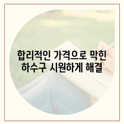 대전시 유성구 죽동 하수구막힘 | 가격 | 비용 | 기름제거 | 싱크대 | 변기 | 세면대 | 역류 | 냄새차단 | 2024 후기