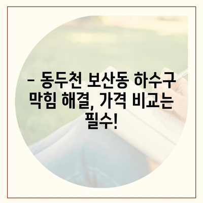 경기도 동두천시 보산동 하수구막힘 | 가격 | 비용 | 기름제거 | 싱크대 | 변기 | 세면대 | 역류 | 냄새차단 | 2024 후기