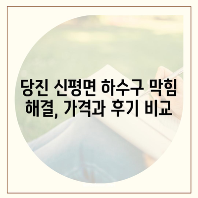 충청남도 당진시 신평면 하수구막힘 | 가격 | 비용 | 기름제거 | 싱크대 | 변기 | 세면대 | 역류 | 냄새차단 | 2024 후기