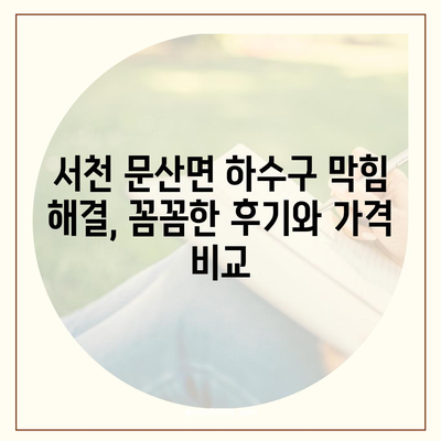 충청남도 서천군 문산면 하수구막힘 | 가격 | 비용 | 기름제거 | 싱크대 | 변기 | 세면대 | 역류 | 냄새차단 | 2024 후기