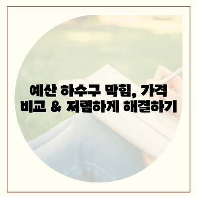 충청남도 예산군 예산읍 하수구막힘 | 가격 | 비용 | 기름제거 | 싱크대 | 변기 | 세면대 | 역류 | 냄새차단 | 2024 후기