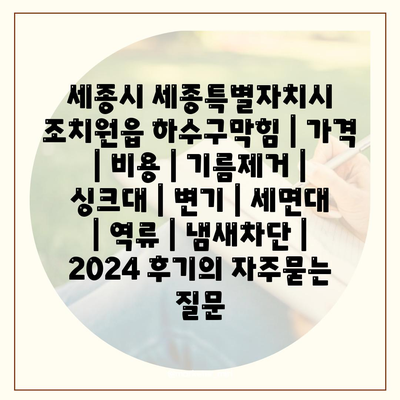 세종시 세종특별자치시 조치원읍 하수구막힘 | 가격 | 비용 | 기름제거 | 싱크대 | 변기 | 세면대 | 역류 | 냄새차단 | 2024 후기