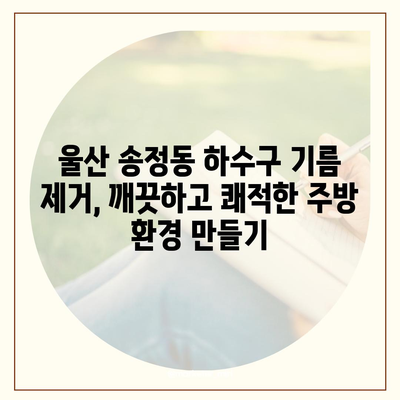 울산시 북구 송정동 하수구막힘 | 가격 | 비용 | 기름제거 | 싱크대 | 변기 | 세면대 | 역류 | 냄새차단 | 2024 후기