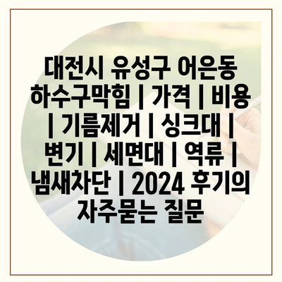 대전시 유성구 어은동 하수구막힘 | 가격 | 비용 | 기름제거 | 싱크대 | 변기 | 세면대 | 역류 | 냄새차단 | 2024 후기