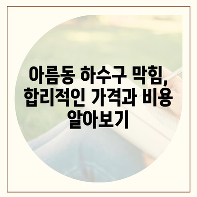 세종시 세종특별자치시 아름동 하수구막힘 | 가격 | 비용 | 기름제거 | 싱크대 | 변기 | 세면대 | 역류 | 냄새차단 | 2024 후기