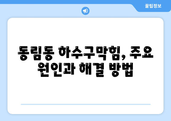 광주시 북구 동림동 하수구막힘 | 가격 | 비용 | 기름제거 | 싱크대 | 변기 | 세면대 | 역류 | 냄새차단 | 2024 후기