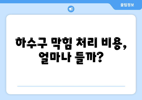 서울시 강남구 대치1동 하수구막힘 | 가격 | 비용 | 기름제거 | 싱크대 | 변기 | 세면대 | 역류 | 냄새차단 | 2024 후기