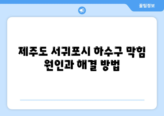 제주도 서귀포시 표선면 하수구막힘 | 가격 | 비용 | 기름제거 | 싱크대 | 변기 | 세면대 | 역류 | 냄새차단 | 2024 후기