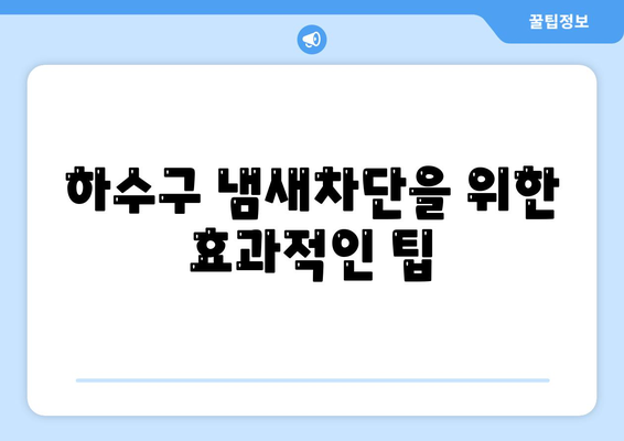 경상북도 안동시 송하동 하수구막힘 | 가격 | 비용 | 기름제거 | 싱크대 | 변기 | 세면대 | 역류 | 냄새차단 | 2024 후기