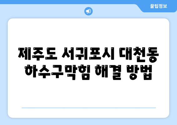 제주도 서귀포시 대천동 하수구막힘 | 가격 | 비용 | 기름제거 | 싱크대 | 변기 | 세면대 | 역류 | 냄새차단 | 2024 후기