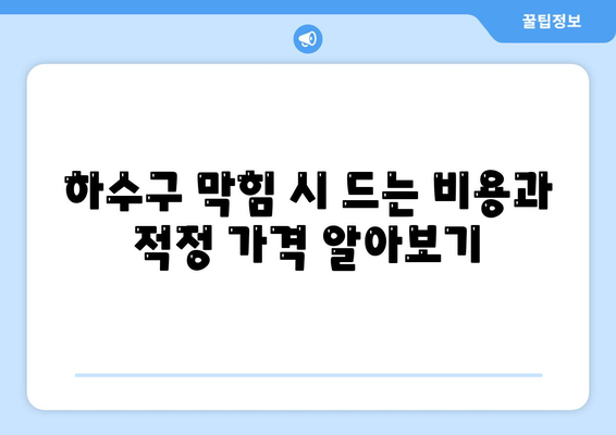 대전시 동구 효동 하수구막힘 | 가격 | 비용 | 기름제거 | 싱크대 | 변기 | 세면대 | 역류 | 냄새차단 | 2024 후기