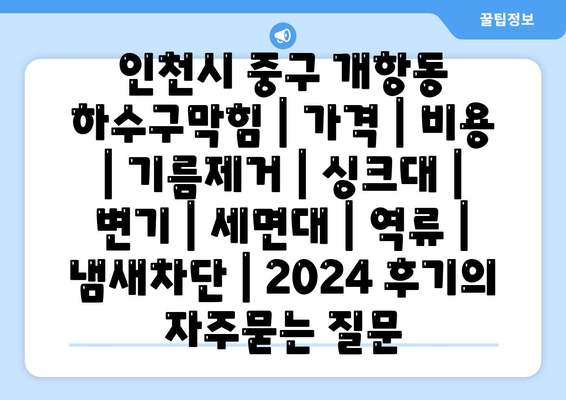 인천시 중구 개항동 하수구막힘 | 가격 | 비용 | 기름제거 | 싱크대 | 변기 | 세면대 | 역류 | 냄새차단 | 2024 후기