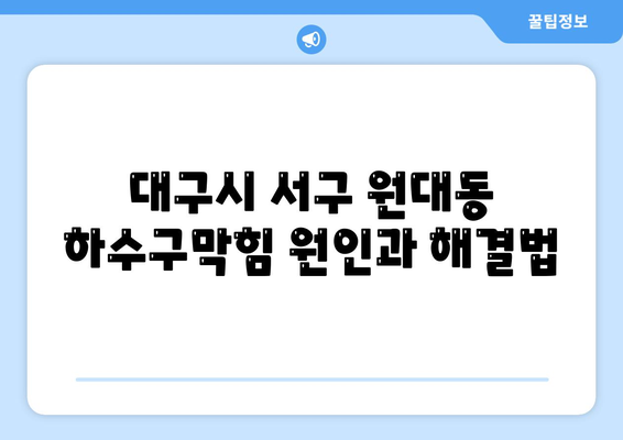 대구시 서구 원대동 하수구막힘 | 가격 | 비용 | 기름제거 | 싱크대 | 변기 | 세면대 | 역류 | 냄새차단 | 2024 후기