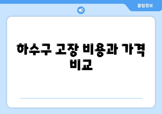 제주도 제주시 삼양동 하수구막힘 | 가격 | 비용 | 기름제거 | 싱크대 | 변기 | 세면대 | 역류 | 냄새차단 | 2024 후기