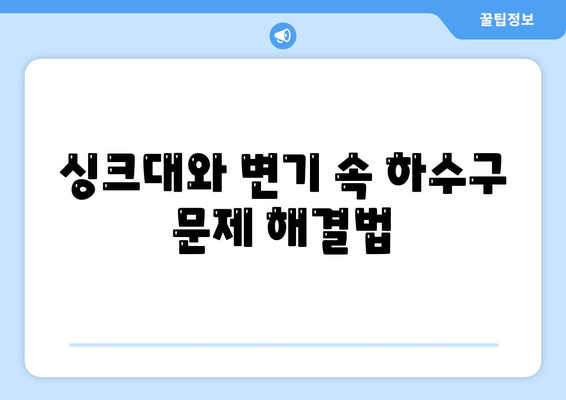 서울시 강서구 등촌제1동 하수구막힘 | 가격 | 비용 | 기름제거 | 싱크대 | 변기 | 세면대 | 역류 | 냄새차단 | 2024 후기