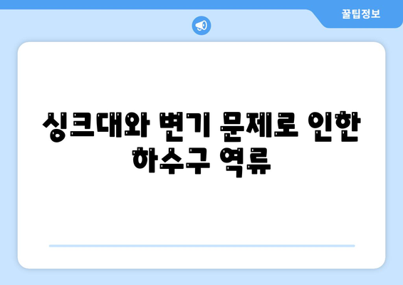 제주도 제주시 화북동 하수구막힘 | 가격 | 비용 | 기름제거 | 싱크대 | 변기 | 세면대 | 역류 | 냄새차단 | 2024 후기