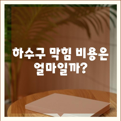 강원도 고성군 거진읍 하수구막힘 | 가격 | 비용 | 기름제거 | 싱크대 | 변기 | 세면대 | 역류 | 냄새차단 | 2024 후기