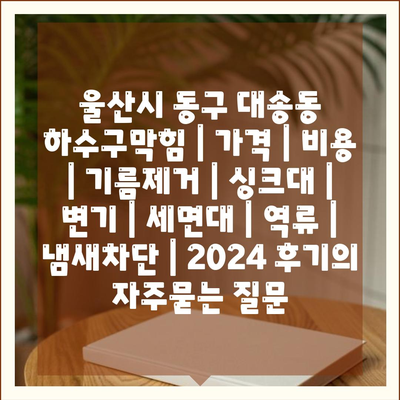 울산시 동구 대송동 하수구막힘 | 가격 | 비용 | 기름제거 | 싱크대 | 변기 | 세면대 | 역류 | 냄새차단 | 2024 후기