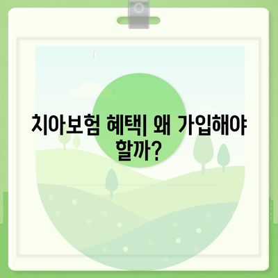 강원도 정선군 북평면 치아보험 가격 | 치과보험 | 추천 | 비교 | 에이스 | 라이나 | 가입조건 | 2024