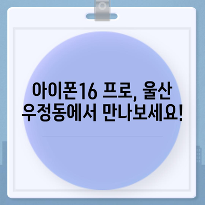 울산시 중구 우정동 아이폰16 프로 사전예약 | 출시일 | 가격 | PRO | SE1 | 디자인 | 프로맥스 | 색상 | 미니 | 개통