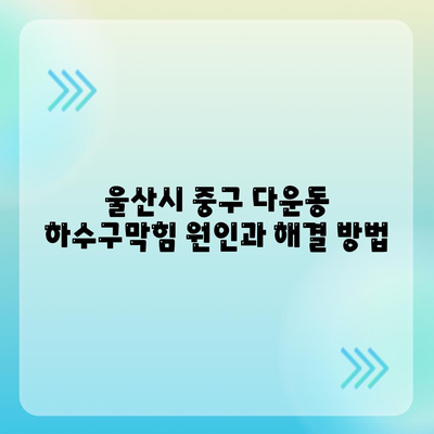 울산시 중구 다운동 하수구막힘 | 가격 | 비용 | 기름제거 | 싱크대 | 변기 | 세면대 | 역류 | 냄새차단 | 2024 후기