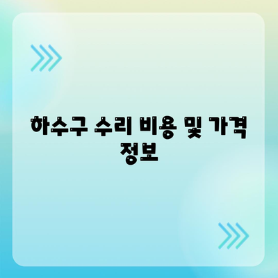 경상북도 성주군 용암면 하수구막힘 | 가격 | 비용 | 기름제거 | 싱크대 | 변기 | 세면대 | 역류 | 냄새차단 | 2024 후기