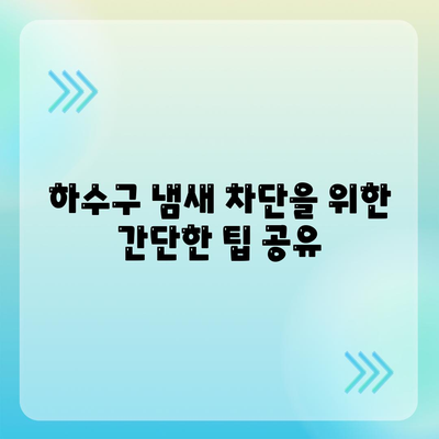 경기도 포천시 신북면 하수구막힘 | 가격 | 비용 | 기름제거 | 싱크대 | 변기 | 세면대 | 역류 | 냄새차단 | 2024 후기