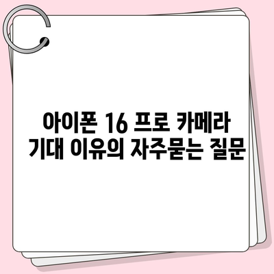 아이폰 16 프로 카메라 기대 이유