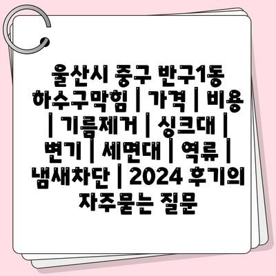 울산시 중구 반구1동 하수구막힘 | 가격 | 비용 | 기름제거 | 싱크대 | 변기 | 세면대 | 역류 | 냄새차단 | 2024 후기