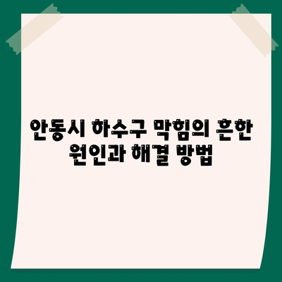 경상북도 안동시 송하동 하수구막힘 | 가격 | 비용 | 기름제거 | 싱크대 | 변기 | 세면대 | 역류 | 냄새차단 | 2024 후기