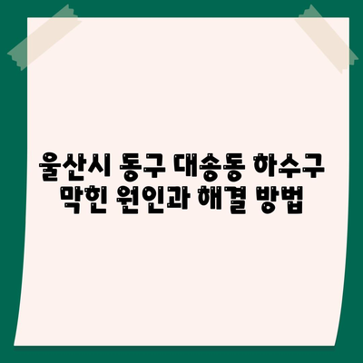 울산시 동구 대송동 하수구막힘 | 가격 | 비용 | 기름제거 | 싱크대 | 변기 | 세면대 | 역류 | 냄새차단 | 2024 후기