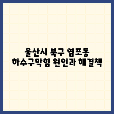 울산시 북구 염포동 하수구막힘 | 가격 | 비용 | 기름제거 | 싱크대 | 변기 | 세면대 | 역류 | 냄새차단 | 2024 후기