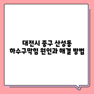 대전시 중구 산성동 하수구막힘 | 가격 | 비용 | 기름제거 | 싱크대 | 변기 | 세면대 | 역류 | 냄새차단 | 2024 후기