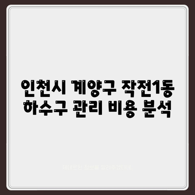 인천시 계양구 작전1동 하수구막힘 | 가격 | 비용 | 기름제거 | 싱크대 | 변기 | 세면대 | 역류 | 냄새차단 | 2024 후기