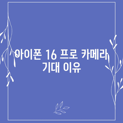 아이폰 16 프로 카메라 기대 이유