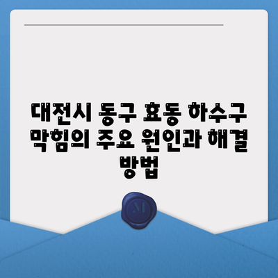 대전시 동구 효동 하수구막힘 | 가격 | 비용 | 기름제거 | 싱크대 | 변기 | 세면대 | 역류 | 냄새차단 | 2024 후기