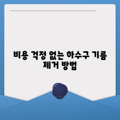 경기도 광주시 오포읍 하수구막힘 | 가격 | 비용 | 기름제거 | 싱크대 | 변기 | 세면대 | 역류 | 냄새차단 | 2024 후기