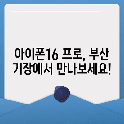 부산시 기장군 장안읍 아이폰16 프로 사전예약 | 출시일 | 가격 | PRO | SE1 | 디자인 | 프로맥스 | 색상 | 미니 | 개통