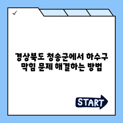 경상북도 청송군 진보면 하수구막힘 | 가격 | 비용 | 기름제거 | 싱크대 | 변기 | 세면대 | 역류 | 냄새차단 | 2024 후기