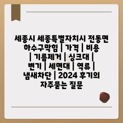 세종시 세종특별자치시 전동면 하수구막힘 | 가격 | 비용 | 기름제거 | 싱크대 | 변기 | 세면대 | 역류 | 냄새차단 | 2024 후기