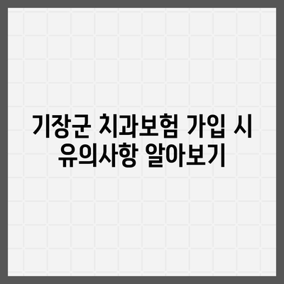 부산시 기장군 기장읍 치아보험 가격 | 치과보험 | 추천 | 비교 | 에이스 | 라이나 | 가입조건 | 2024