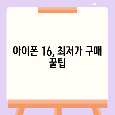 아이폰 16 국내 출시일 확정과 가격 상승 예상