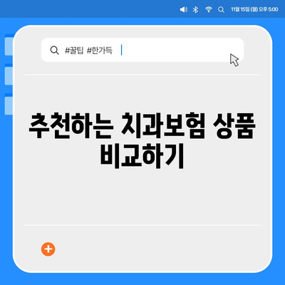 전라북도 남원시 수지면 치아보험 가격 | 치과보험 | 추천 | 비교 | 에이스 | 라이나 | 가입조건 | 2024