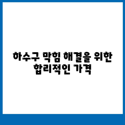 대전시 유성구 온천1동 하수구막힘 | 가격 | 비용 | 기름제거 | 싱크대 | 변기 | 세면대 | 역류 | 냄새차단 | 2024 후기