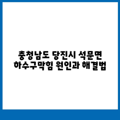 충청남도 당진시 석문면 하수구막힘 | 가격 | 비용 | 기름제거 | 싱크대 | 변기 | 세면대 | 역류 | 냄새차단 | 2024 후기