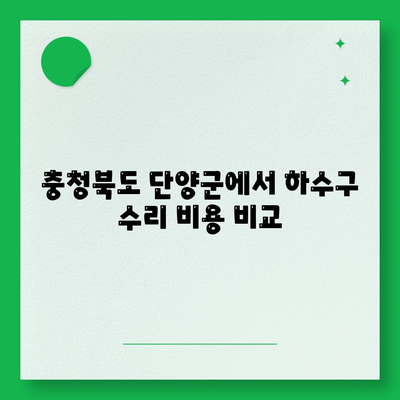 충청북도 단양군 영춘면 하수구막힘 | 가격 | 비용 | 기름제거 | 싱크대 | 변기 | 세면대 | 역류 | 냄새차단 | 2024 후기